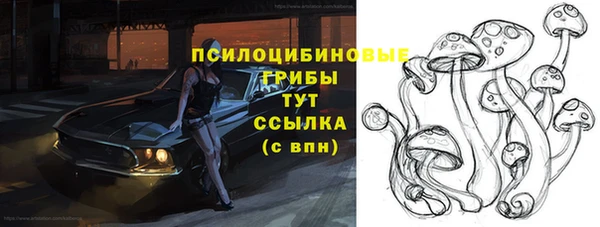 прущие грибы Зерноград