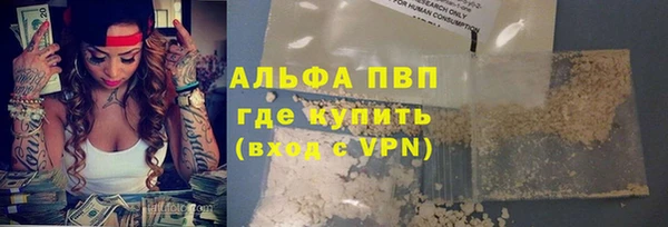 прущие грибы Зерноград