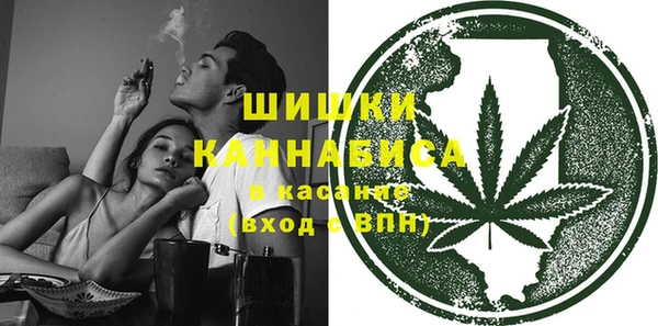 прущие грибы Зерноград