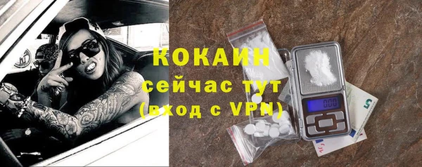 прущие грибы Зерноград