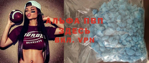 прущие грибы Зерноград