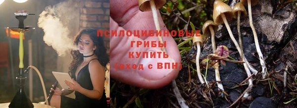 молекула духа Зеленодольск