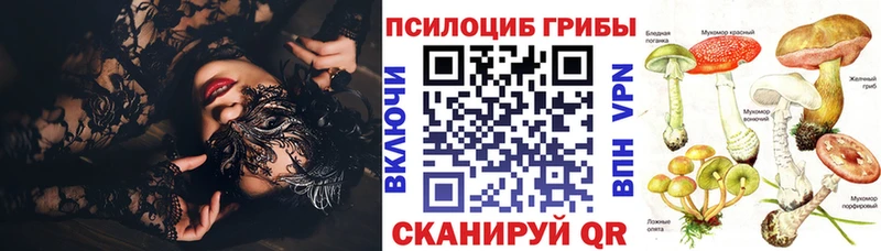 Купить  Опочка  Галлюциногенные грибы ЛСД 